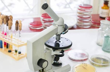 顯微鏡的基本光學(xué)原理和成像的系統(tǒng)